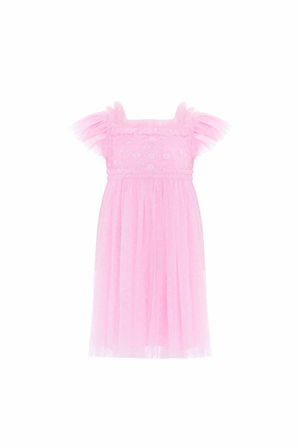 DG-SS-06-KSS24-BPK-2