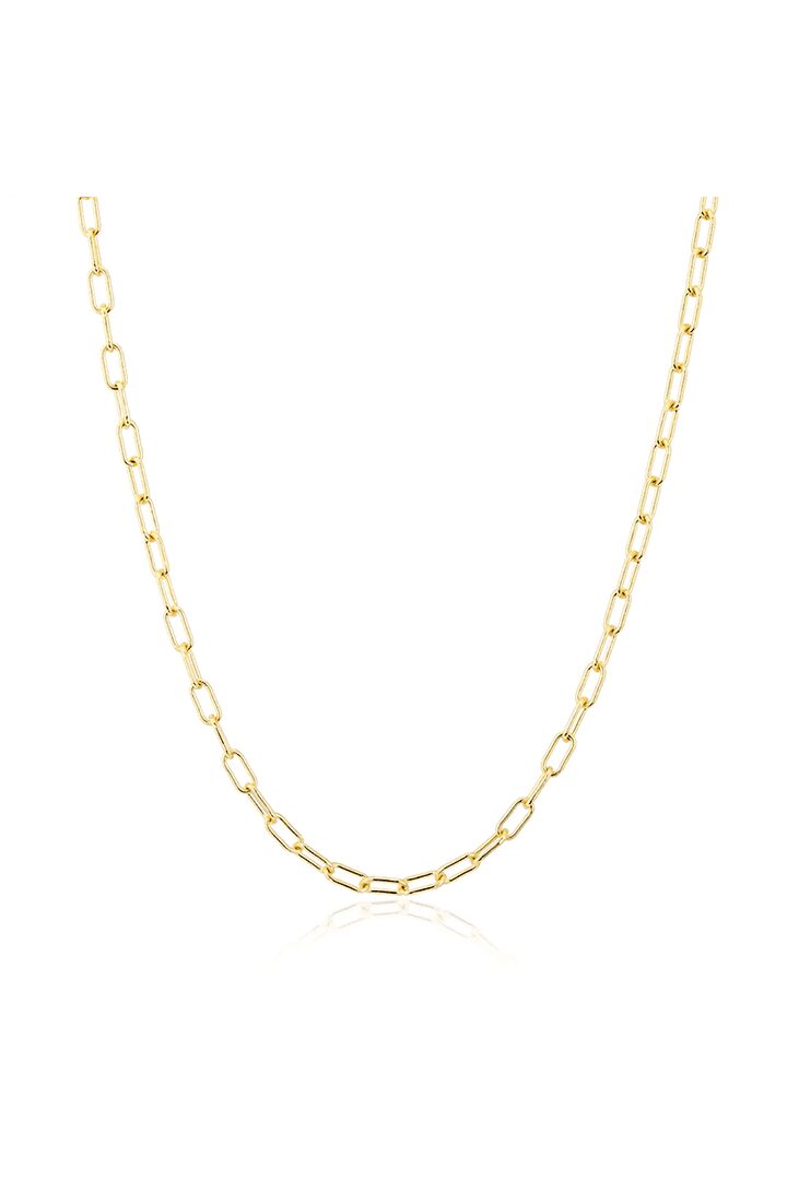 Anne Sisteron 14kt Linked Chain Lyla Necklace