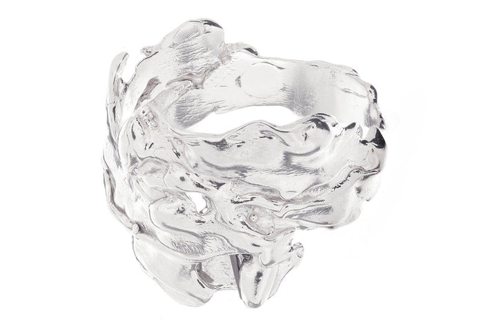 Cluster Ring No. 2