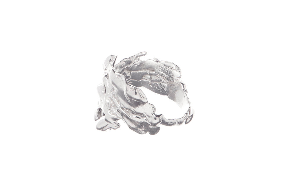 Cluster Ring No. 2