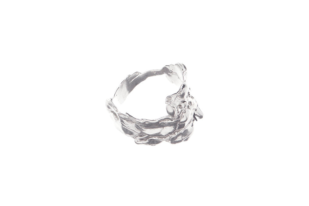 Cluster Ring No. 2