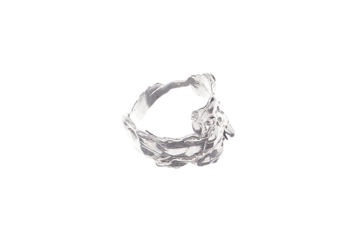 Cluster Ring No. 2